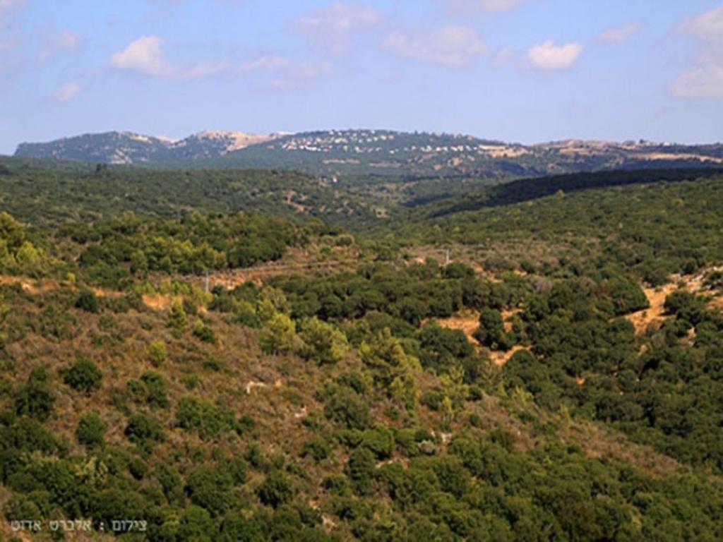 Between Sunrise And Sunset Suites Ya'ara Εξωτερικό φωτογραφία